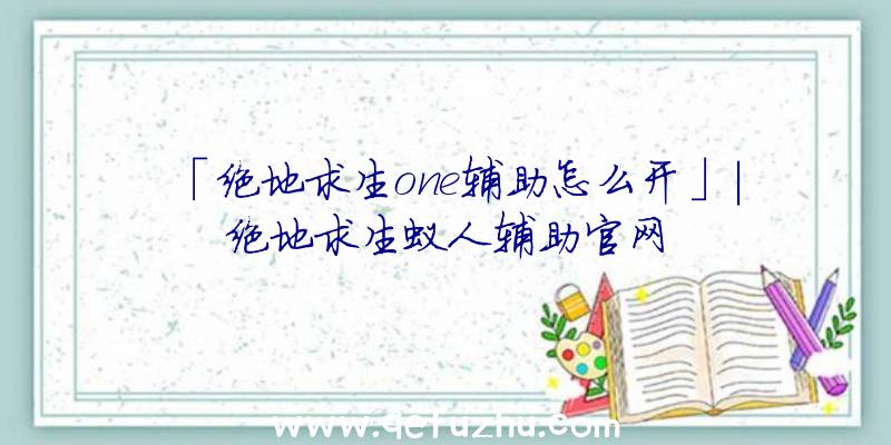 「绝地求生one辅助怎么开」|绝地求生蚁人辅助官网